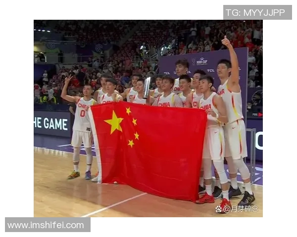 2017年中国男篮蓝队与新西兰的激烈对决回顾与分析