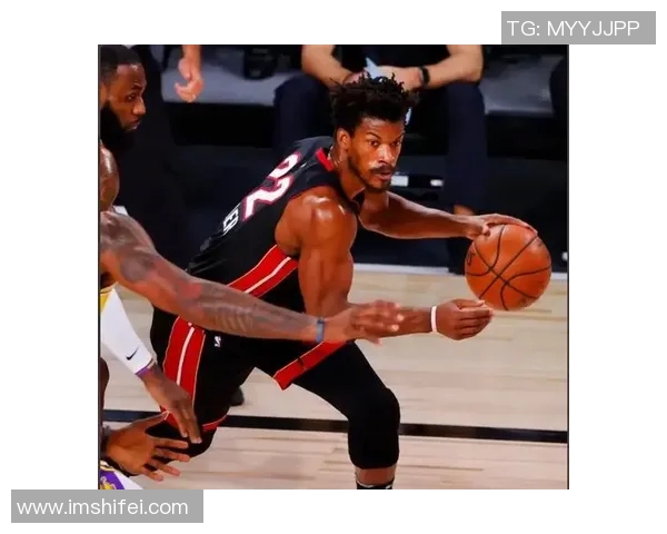 NBA总决赛湖人对阵热火精彩在线直播全程回顾与分析